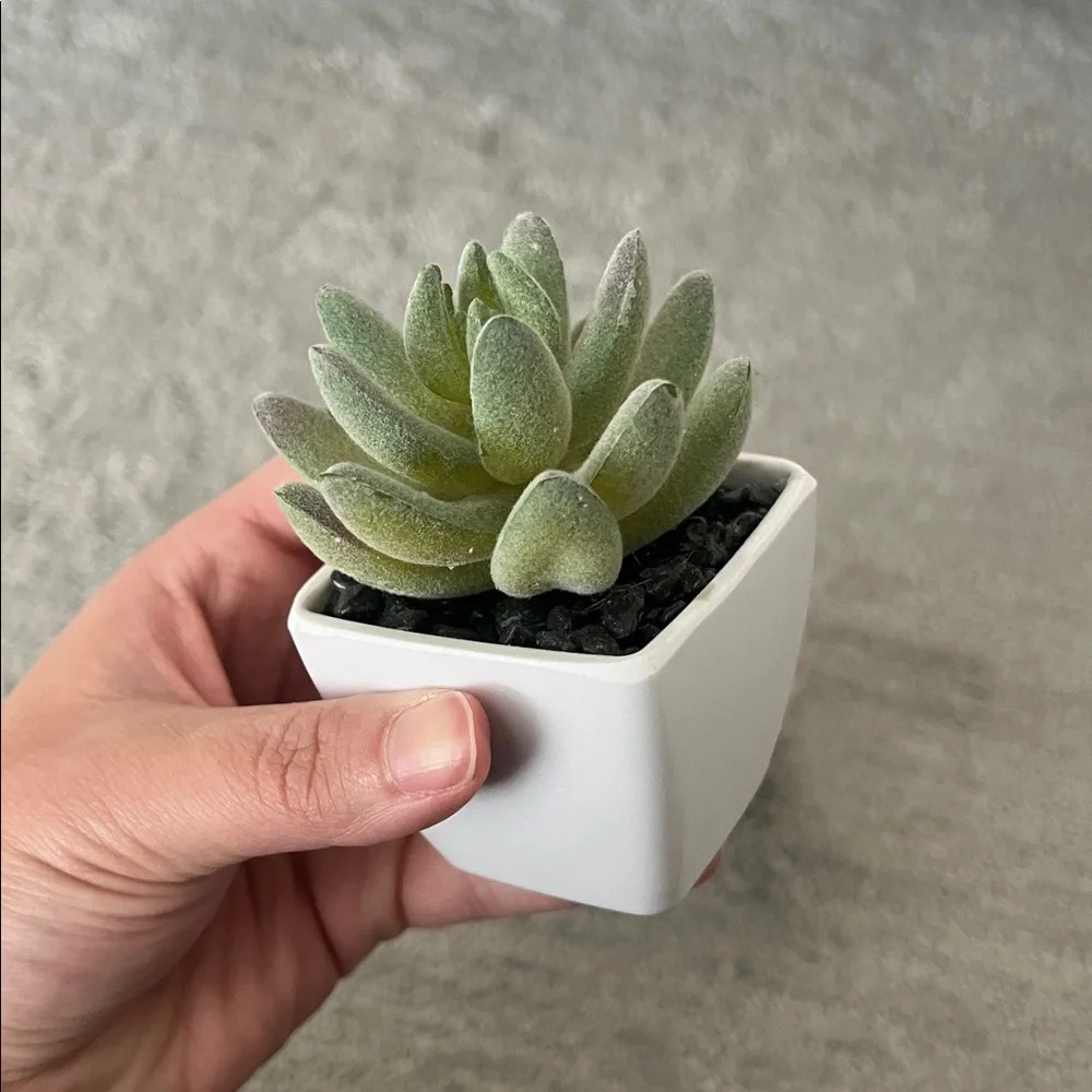 Mini Artificial Succulent Plants